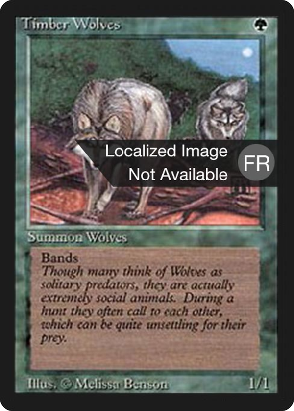 Timber Wolves (fbb)