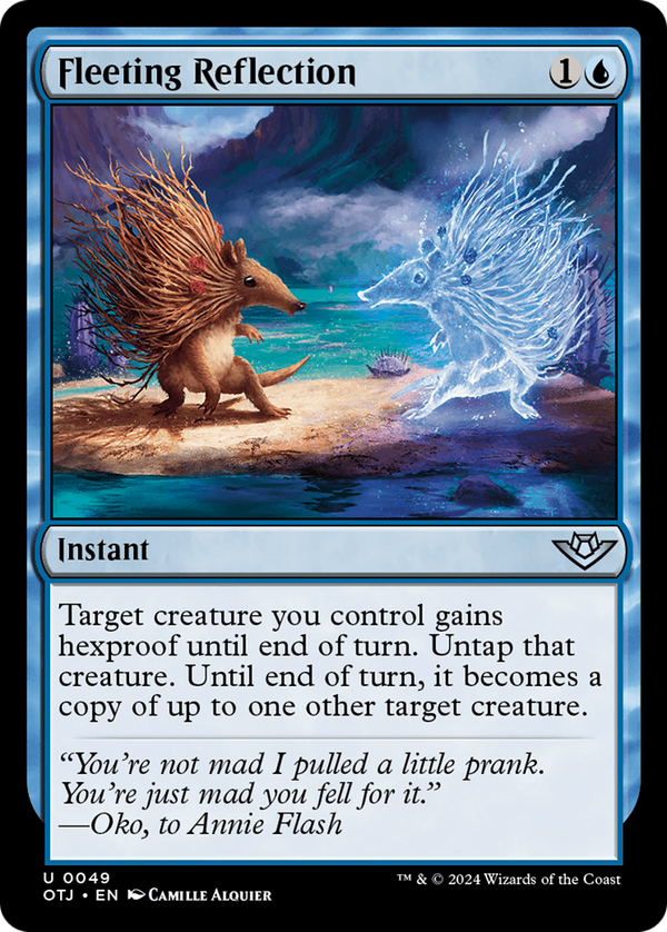 Fleeting Reflection (otj)