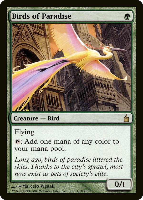 Birds of Paradise (rav)
