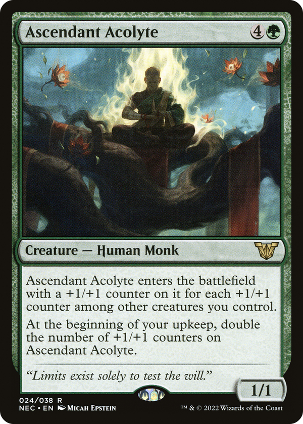 Ascendant Acolyte (nec)