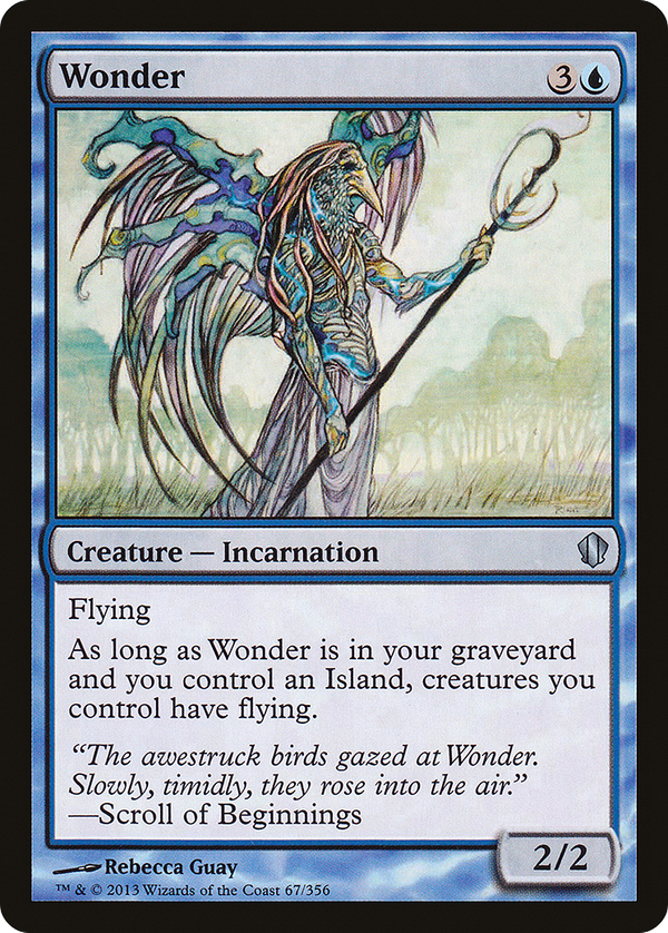 Wonder (c13)