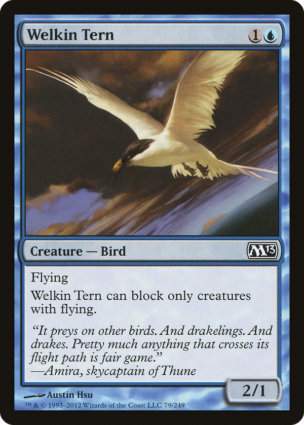 Welkin Tern (m13)