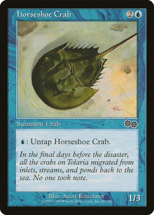 Horseshoe Crab (usg)