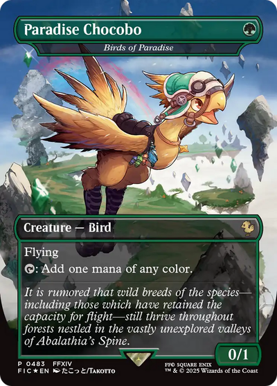 Birds of Paradise