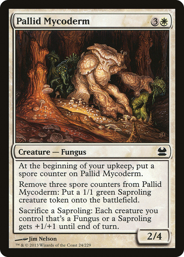 Pallid Mycoderm (mma)