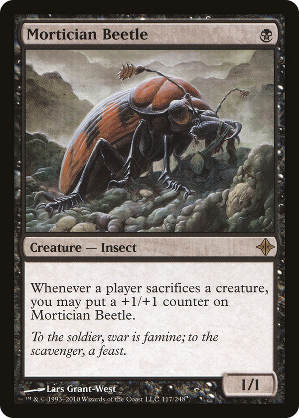 Mortician Beetle (roe)