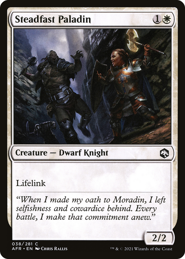 Steadfast Paladin (afr)