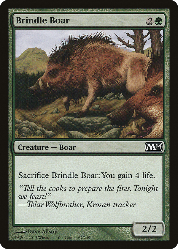 Brindle Boar (m14)