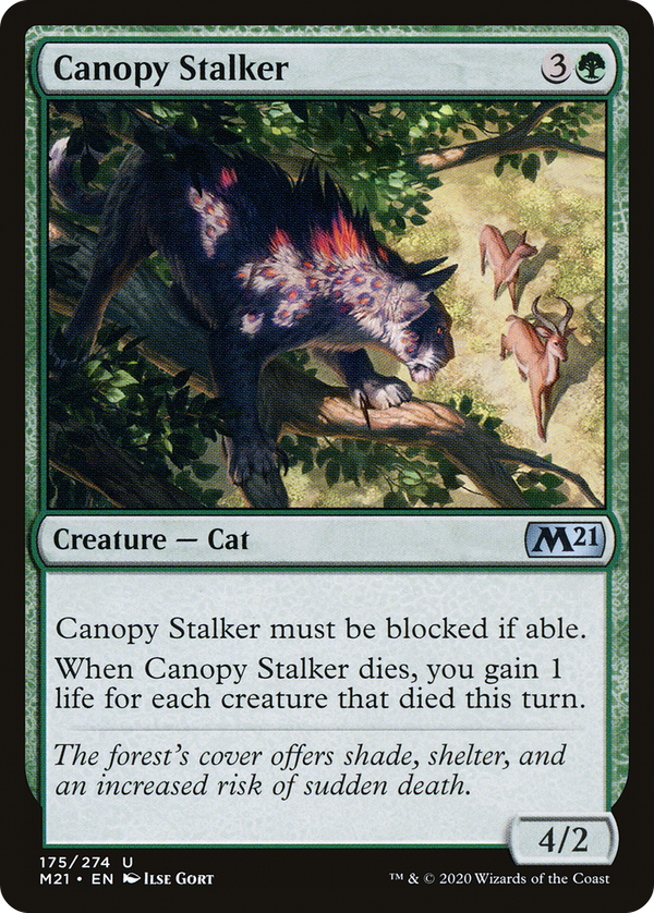 Canopy Stalker (m21)