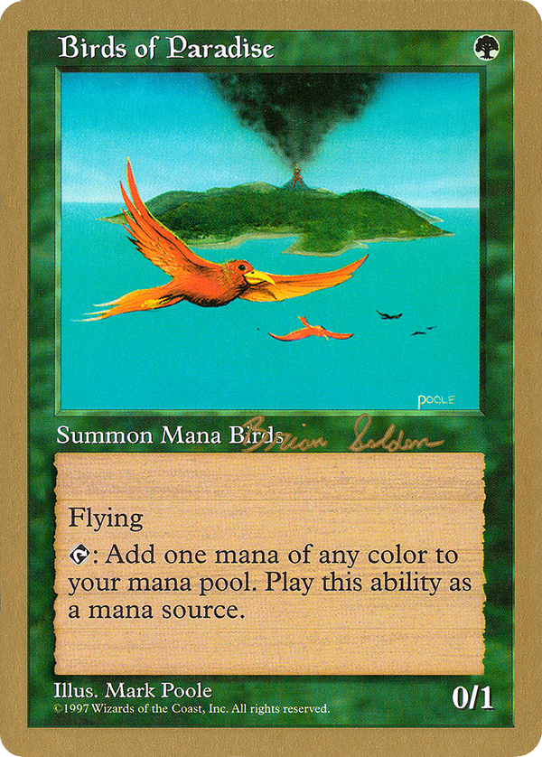 Birds of Paradise (wc98)