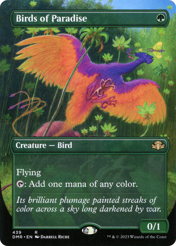 Birds of Paradise (dmr)