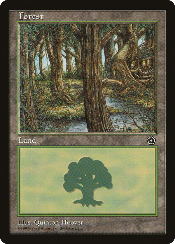 Forest (p02)