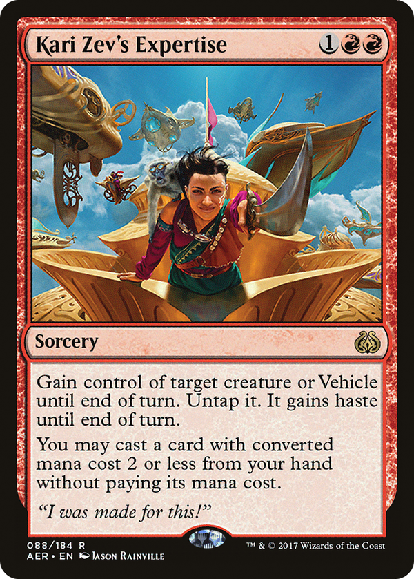 Kari Zev's Expertise (aer)