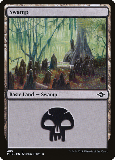 Swamp