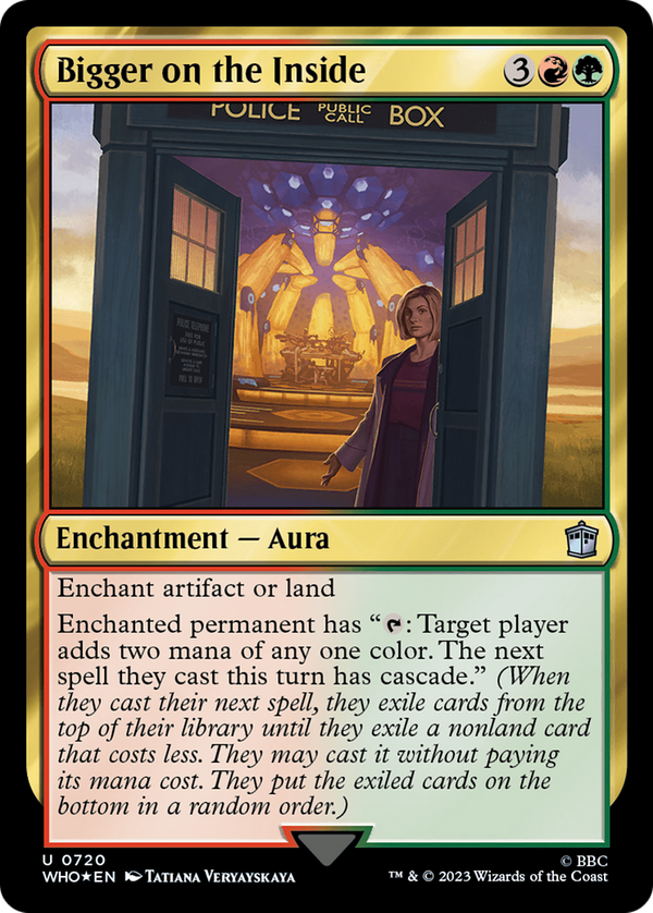 Bigger on the Inside (who)