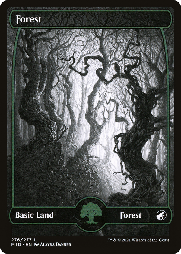 Forest (mid)