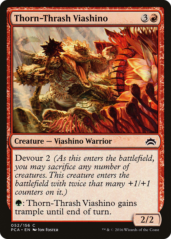 Thorn-Thrash Viashino (pca)