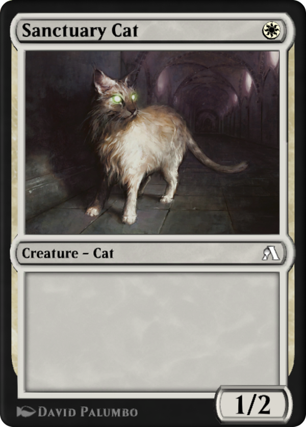 Sanctuary Cat (oana)