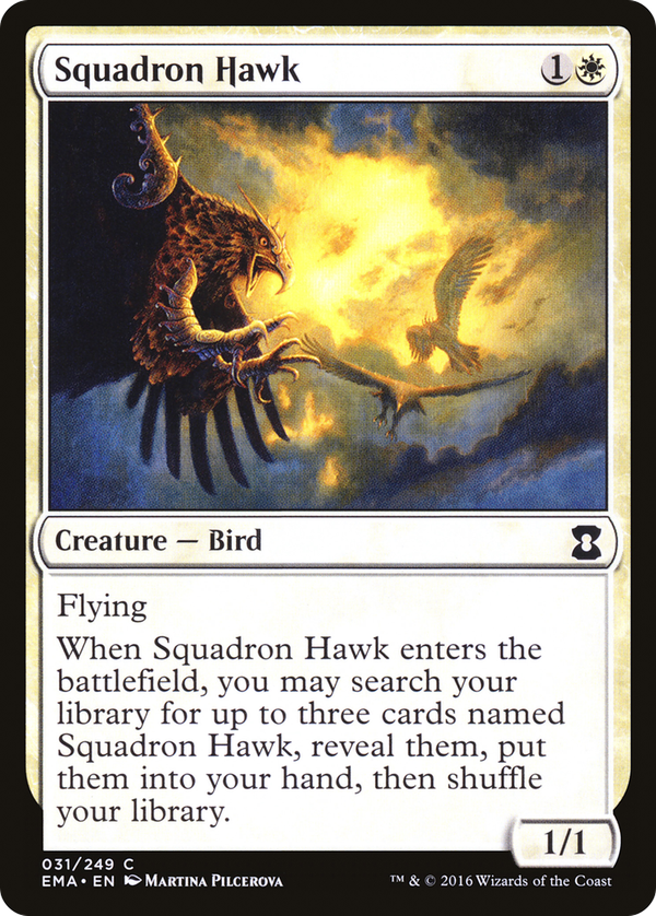 Squadron Hawk (ema)