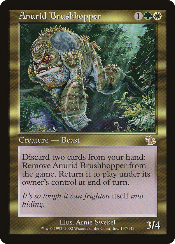 Anurid Brushhopper (jud)