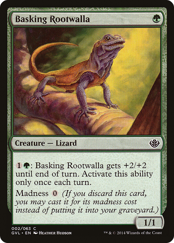 Basking Rootwalla (gvl)