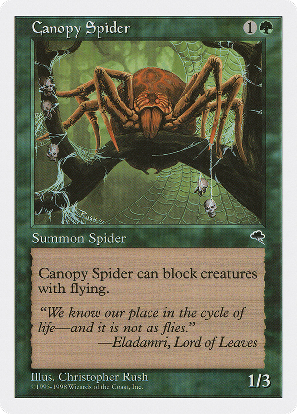 Canopy Spider (ath)