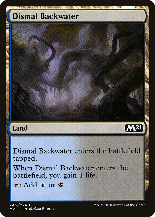 Dismal Backwater (m21)