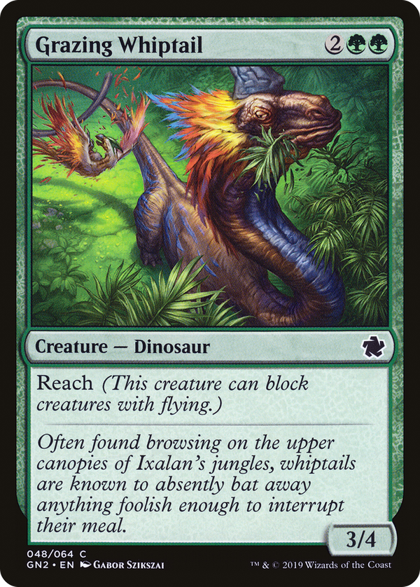 Grazing Whiptail (gn2)