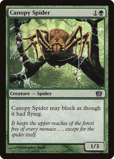 Canopy Spider
