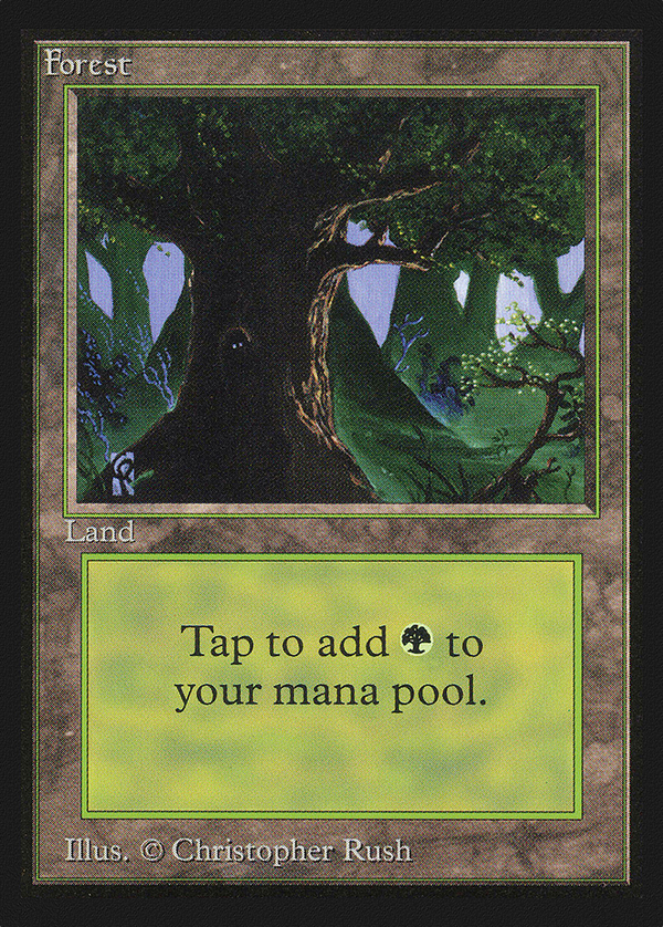 Forest (ced)