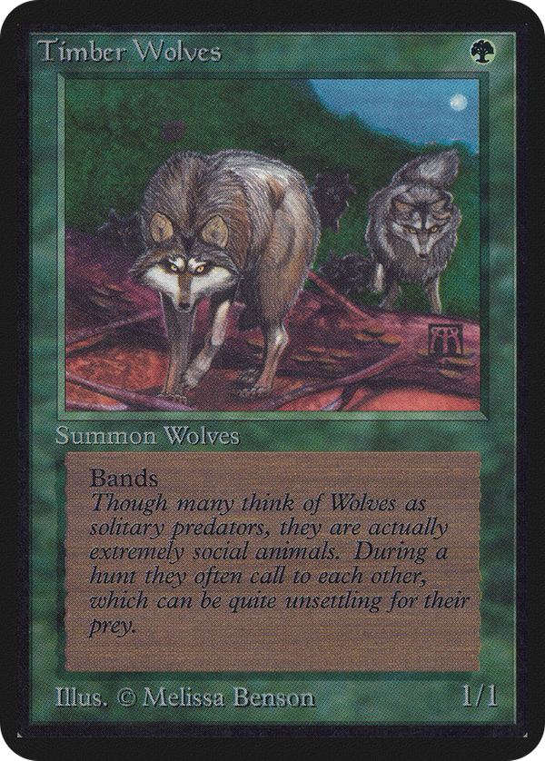 Timber Wolves (lea)