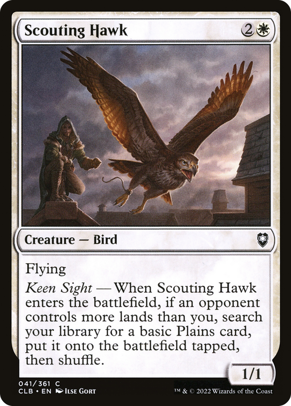 Scouting Hawk (clb)