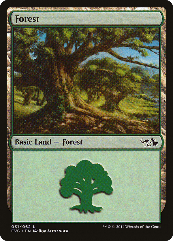 Forest (evg)