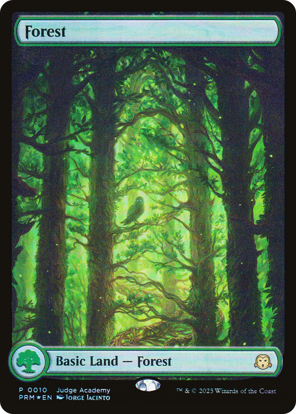 Forest (p23)