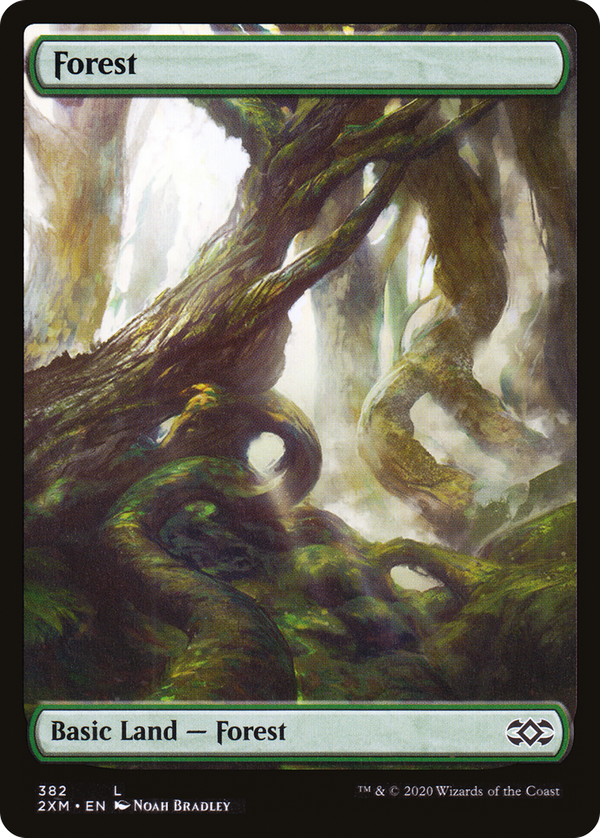Forest (2xm)
