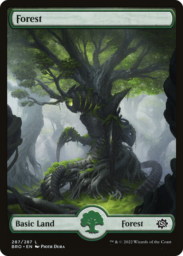 Forest (bro)