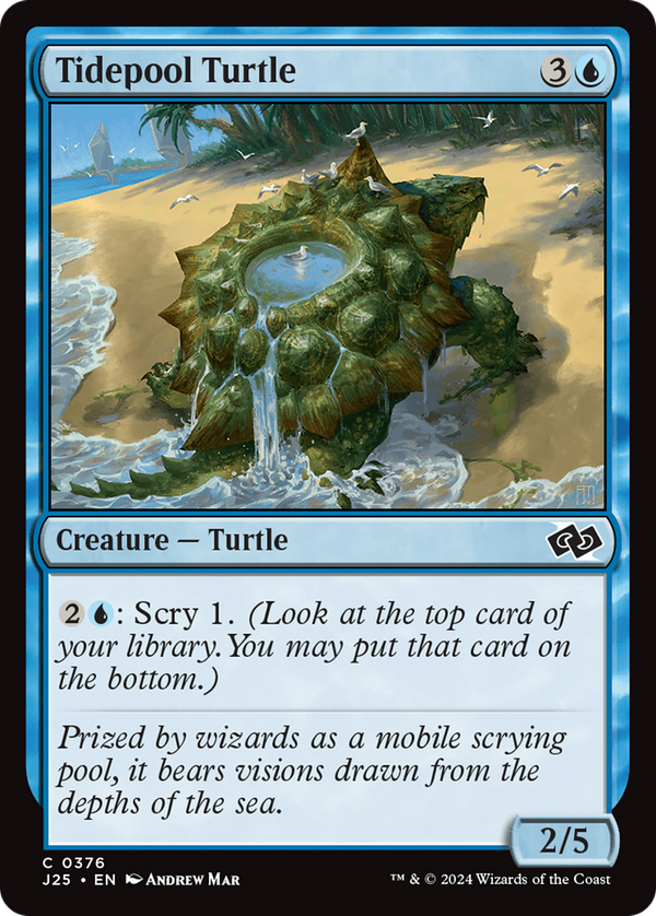 Tidepool Turtle (j25)