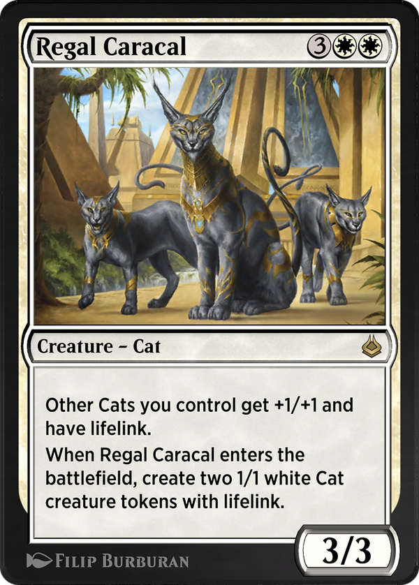 Regal Caracal (akr)