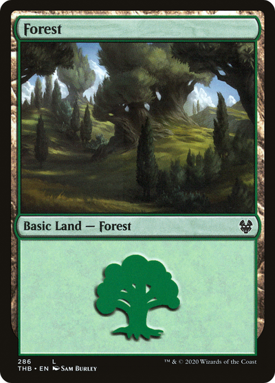 Forest