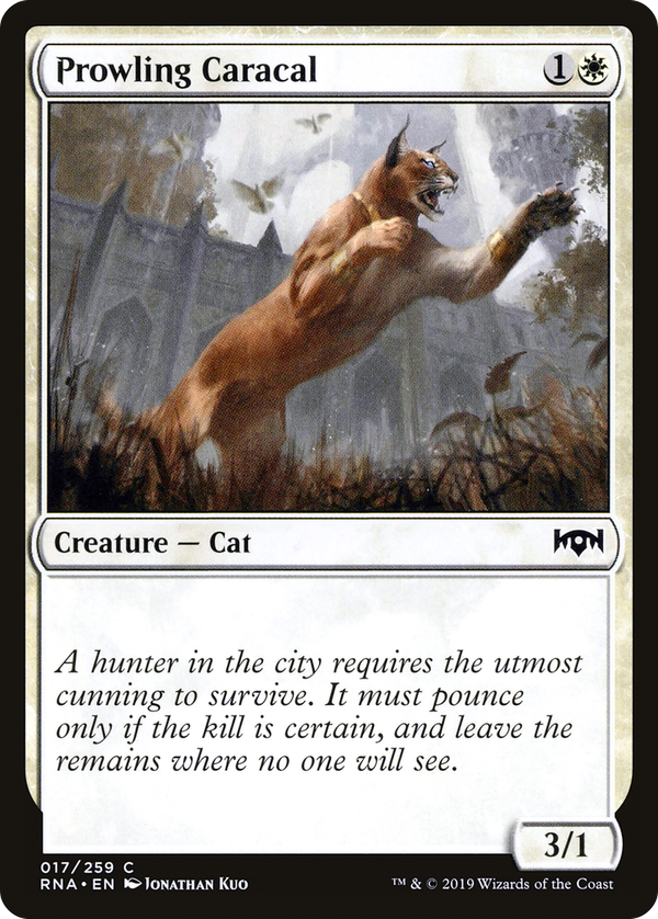 Prowling Caracal (rna)