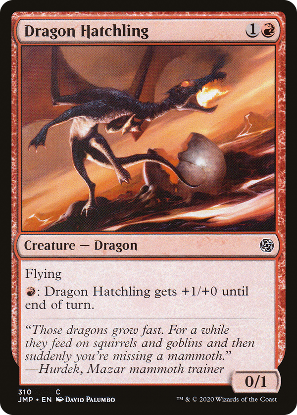 Dragon Hatchling (jmp)