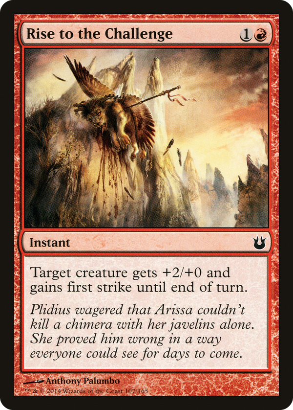Rise to the Challenge (bng)