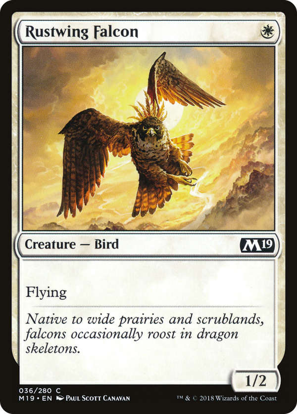 Rustwing Falcon (m19)