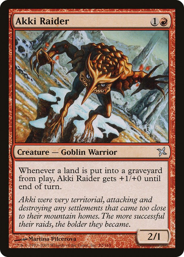 Akki Raider (bok)