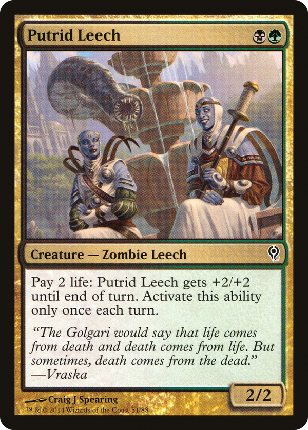 Putrid Leech (ddm)