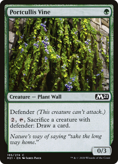 Portcullis Vine