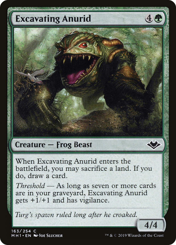 Excavating Anurid (mh1)