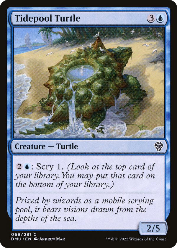 Tidepool Turtle (dmu)