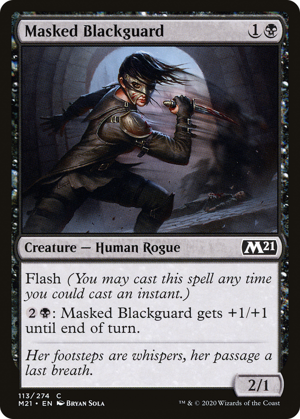 Masked Blackguard (m21)