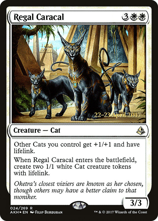 Regal Caracal (pakh)